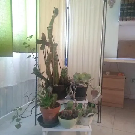 Oda ve Kahvaltı Casa Girasole