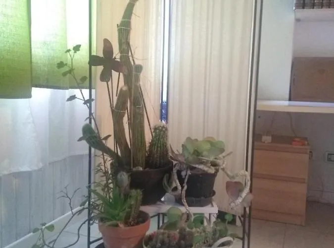 Alojamento de Acomodação e Pequeno-almoço Casa Girasole